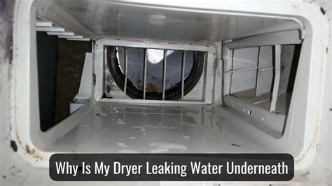 condenser tumble dryer leaking water from underneath|Why Is My Tumble Dryer Leaking Water From Underneath:。